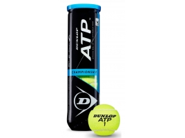 Dunlop ATP CHAMPIONSHIP 4ks.jpg