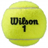 Wilson ROLAND GARROS Clay 18 dóz.jpg