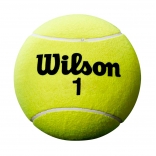 Wilson MINI JUMBO BALL Roland Garros.jpg