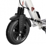 NILS EXTREME Koloběžka NILS Extreme HM208T.jpg
