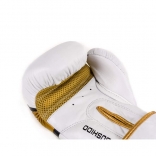 BUSHIDO Boxerské rukavice DBX BUSHIDO DBD-B-2 v1.jpg