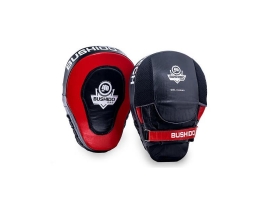 BUSHIDO Boxerské lapy DBX BUSHIDO ARF-1101-S.jpg