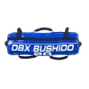 BUSHIDO Powerbag DBX BUSHIDO 20 kg.jpg