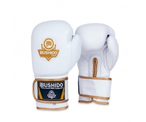 BUSHIDO Boxerské rukavice DBX BUSHIDO DBD-B-2.jpg