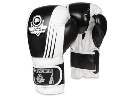 BUSHIDO Boxerské rukavice DBX BUSHIDO B-2v3A.jpg