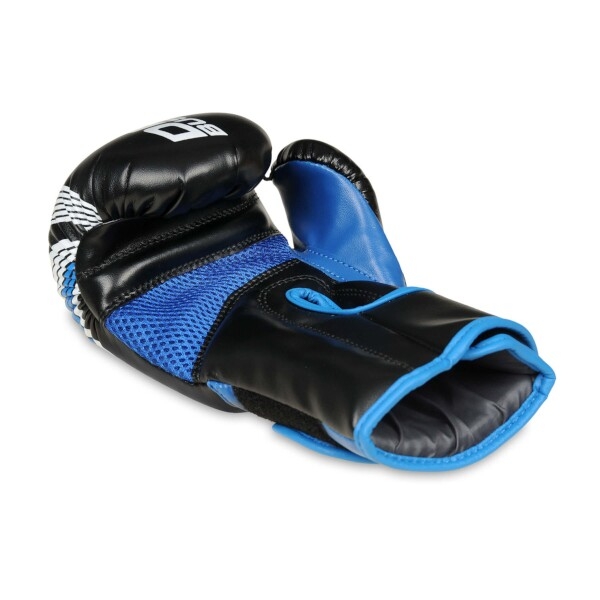 BUSHIDO Boxerské rukavice DBX BUSHIDO ARB407v1 6 oz..jpg