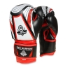 BUSHIDO Boxerské rukavice DBX BUSHIDO ARB407v2 6 oz..jpg