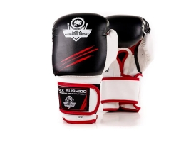 BUSHIDO Boxerské rukavice DBX BUSHIDO DBD-B-2 v3.jpg