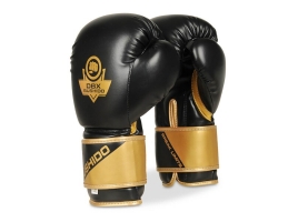 BUSHIDO Boxerské rukavice DBX BUSHIDO B-2v10.jpg