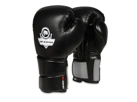 BUSHIDO Boxerské rukavice DBX BUSHIDO B-2v9.jpg