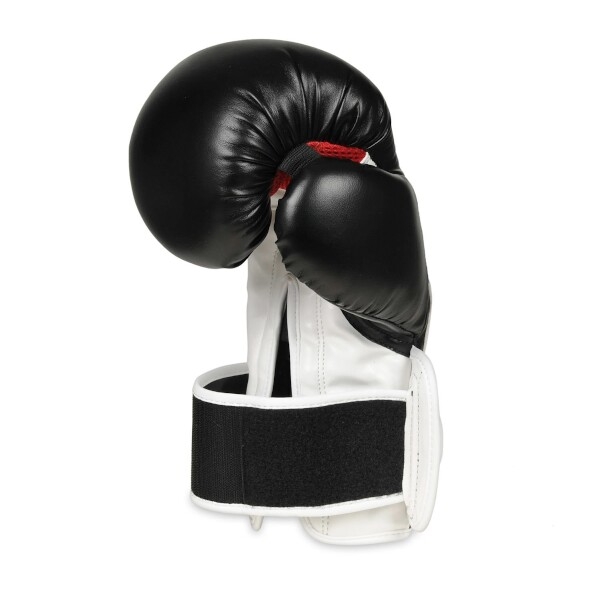 BUSHIDO Boxerské rukavice DBX BUSHIDO B-3W Pro.jpg