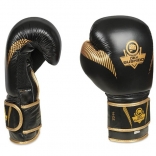 BUSHIDO Boxerské rukavice DBX BUSHIDO B-2v13.jpg