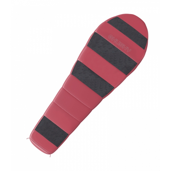 Anapurna ladies 1.jpg