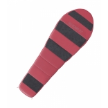 Anapurna ladies 1.jpg