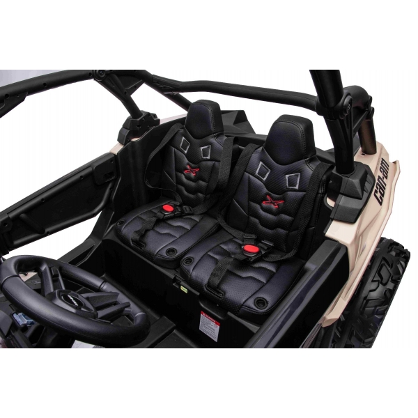 Can am Maveric Black_10.jpg