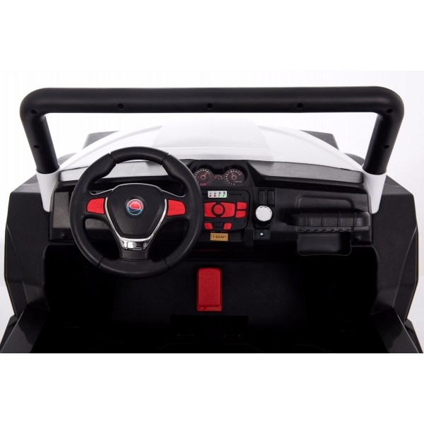 Auto RSX biele_8.jpg