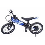 ZZ94012 blue_3.jpg