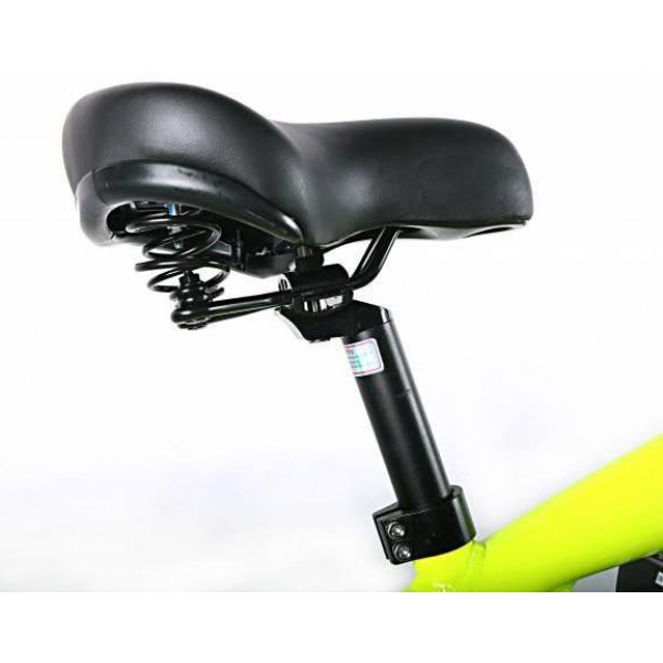 badbike 80cc_7.jpg