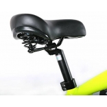 badbike 80cc_7.jpg