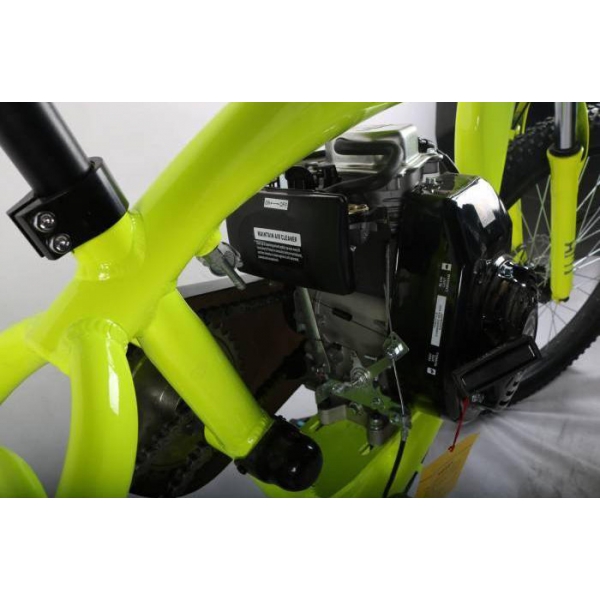 badbike 80cc_6.jpg