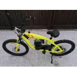 badbike 80cc_2.jpg