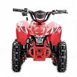 madoxel red_3.jpg