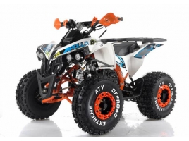 apl159232 orange_1.jpg