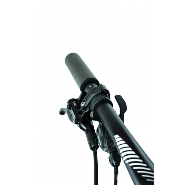 e-Largo 9.9-L.jpg