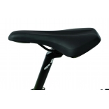 e-Largo 9.9-L.jpg