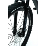 ONE-Guera 9.9-L.jpg