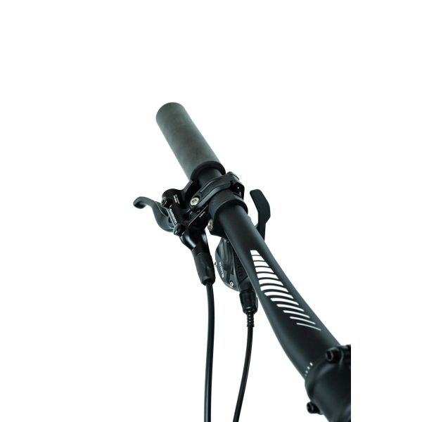 e-Guera 9.9-M.jpg