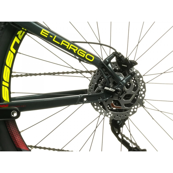 e-Largo 7.9-L.jpg