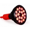 Bulb 4.0_1.jpg