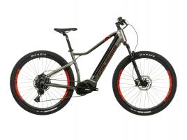 e-Largo 8.9-L.jpg