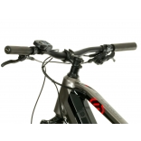 e-Largo 8.9-L.jpg
