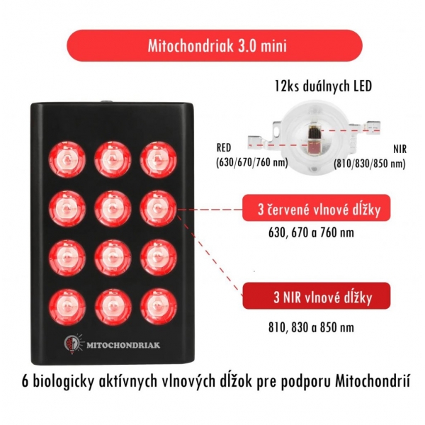 Mitochondriak 3.0 mini_8.jpg