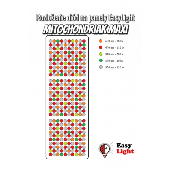 Mitochondriak Maxi_3.jpg