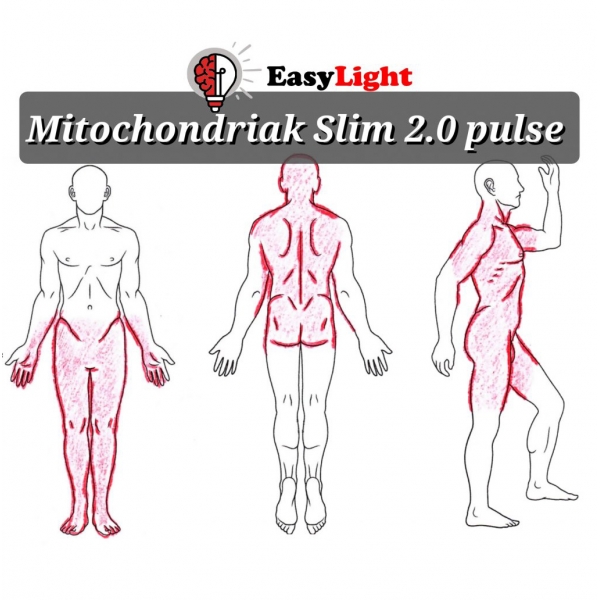 Mitochondriak Slim 2.0 pulse_11.jpg