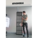 Mitochondriak 3.0 Advanced_8.jpg