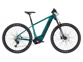 Pells Thorr EVO 1 2024 smaragd green_1.jpg