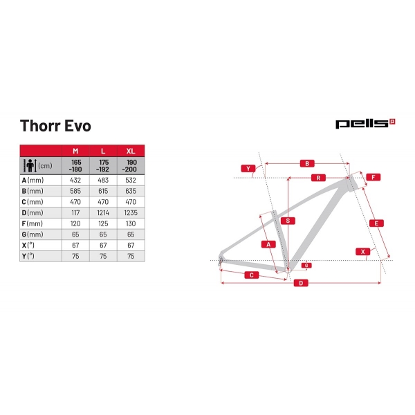 Pells Thorr EVO 2 2024 black_8.jpg