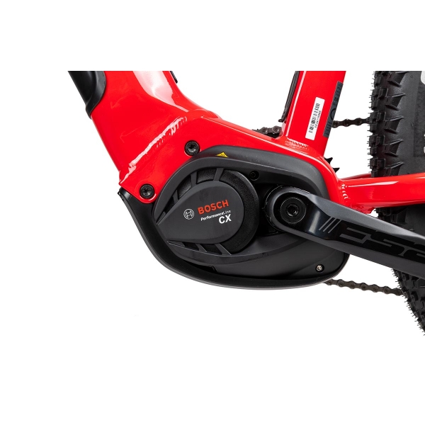 Pells Thorr EVO 3 2024 red_5.jpg