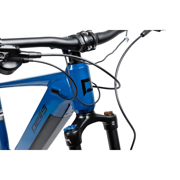 Pells Thorr 2 ER 2024 blue_2.jpg