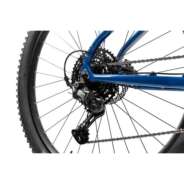Pells Thorr 2 ER 2024 blue_7.jpg