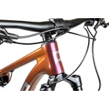 Pells Duke FS 2 2024 eggplant_2.jpg