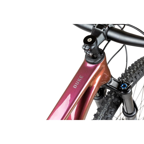 Pells Duke FS 2 2024 eggplant_3.jpg