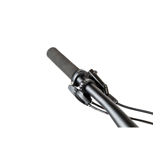 Pells Duke FS 2 2024 eggplant_6.jpg