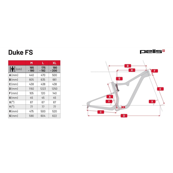 Pells Duke FS 2 2024 eggplant_9.jpg