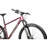 Pells Duke 1 2024 eggplant_2.jpg