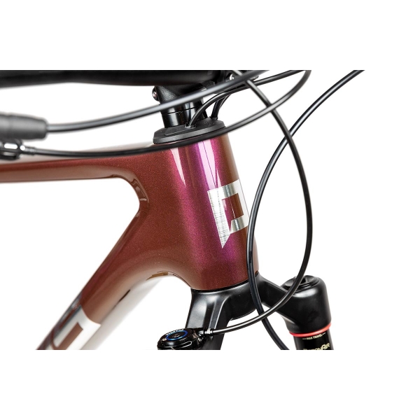 Pells Duke 1 2024 eggplant_3.jpg